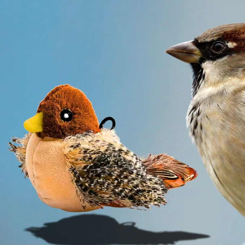 Flappy Perry | Interactive Cat Toy With Flapping Wings & Realistic Sounds