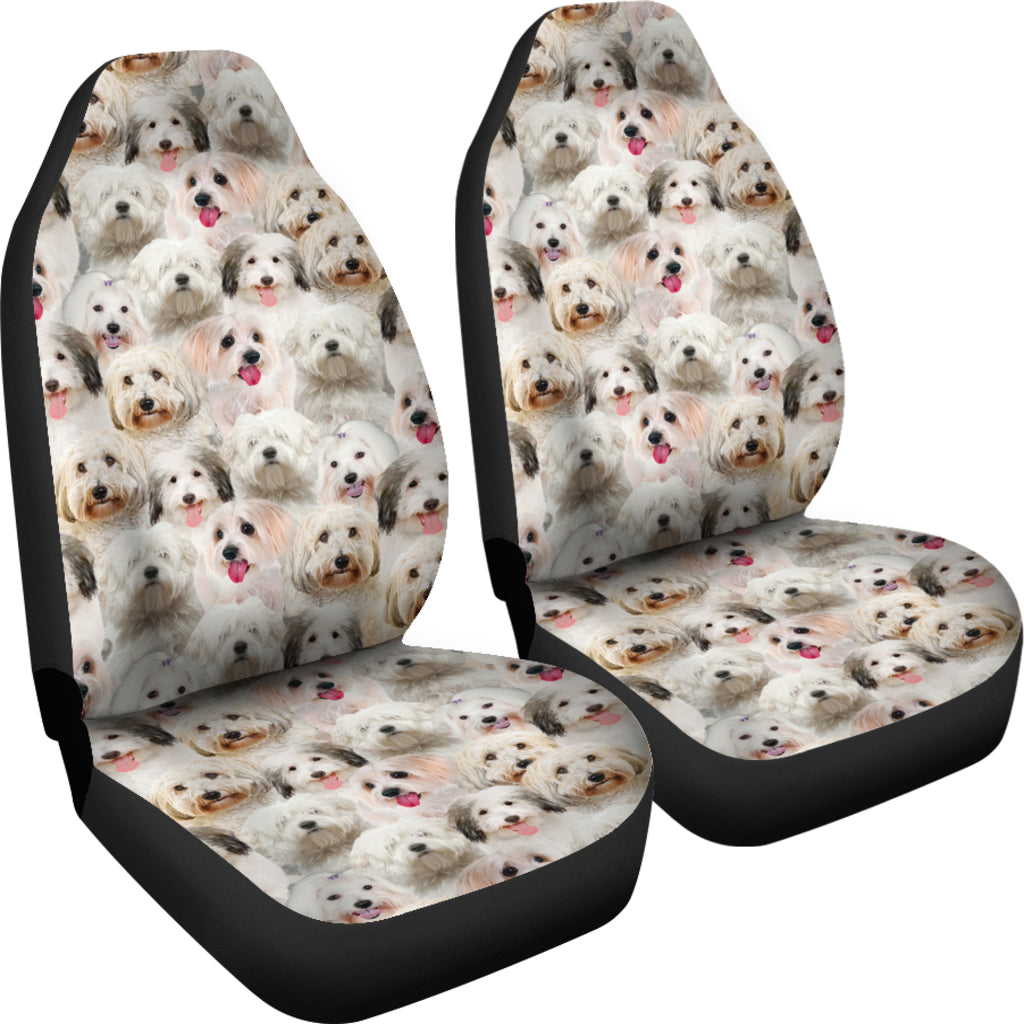 Coton de Tulear Full Face Car Seat Covers