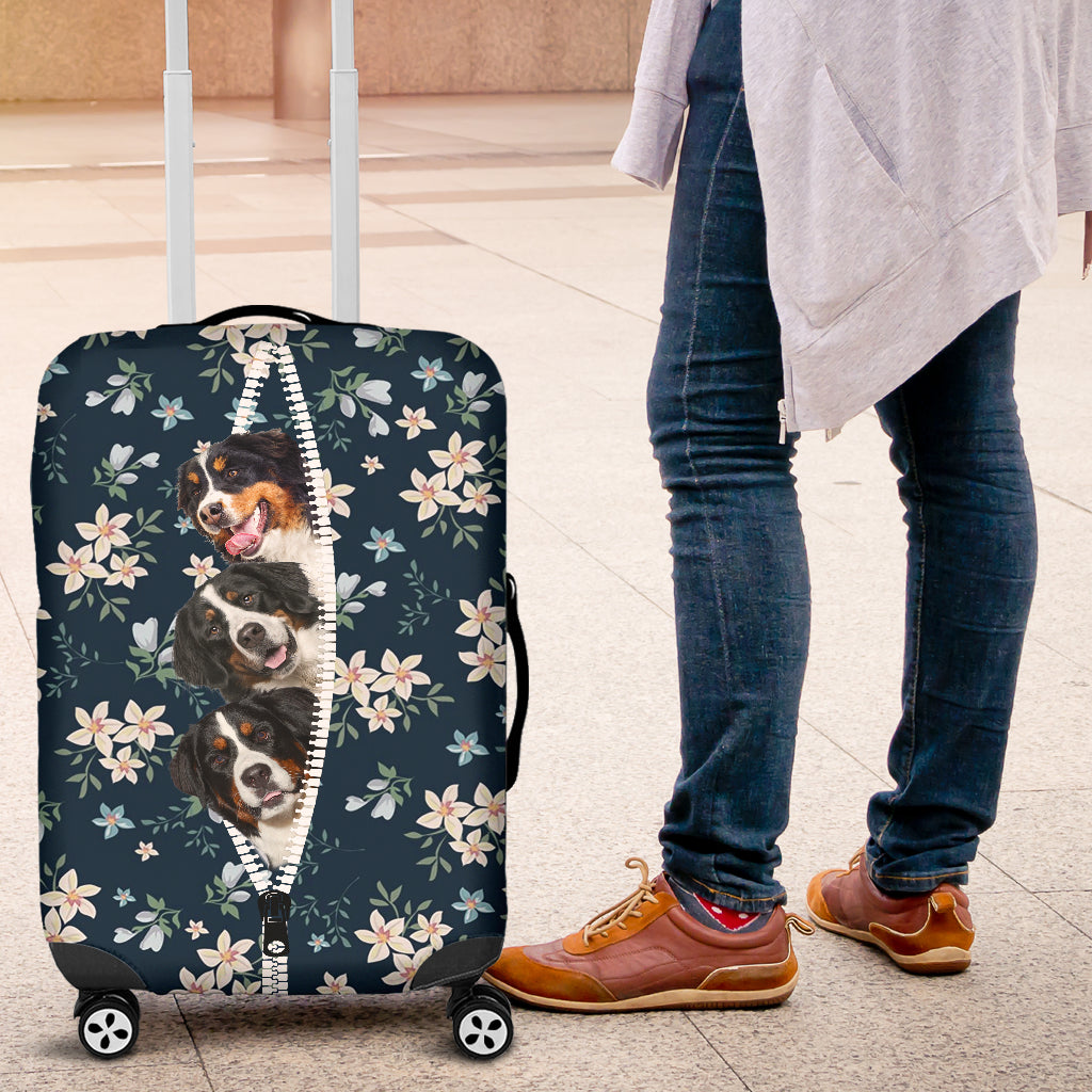 Bernese Mountain Dog