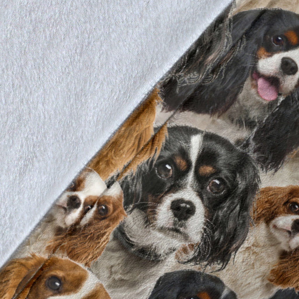 Cavalier King Charles Spaniel - Blanket - 1359