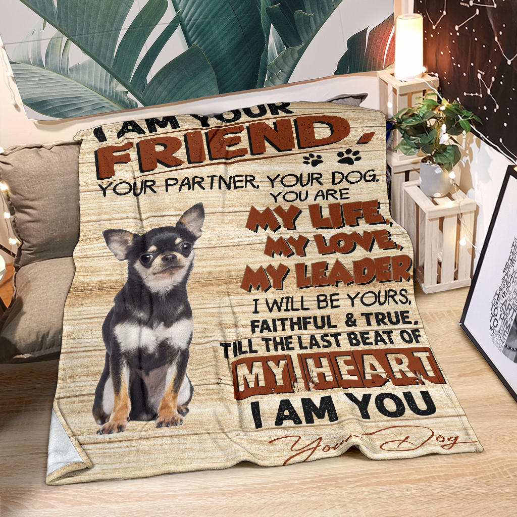 Chihuahua 3-My Love Blanket