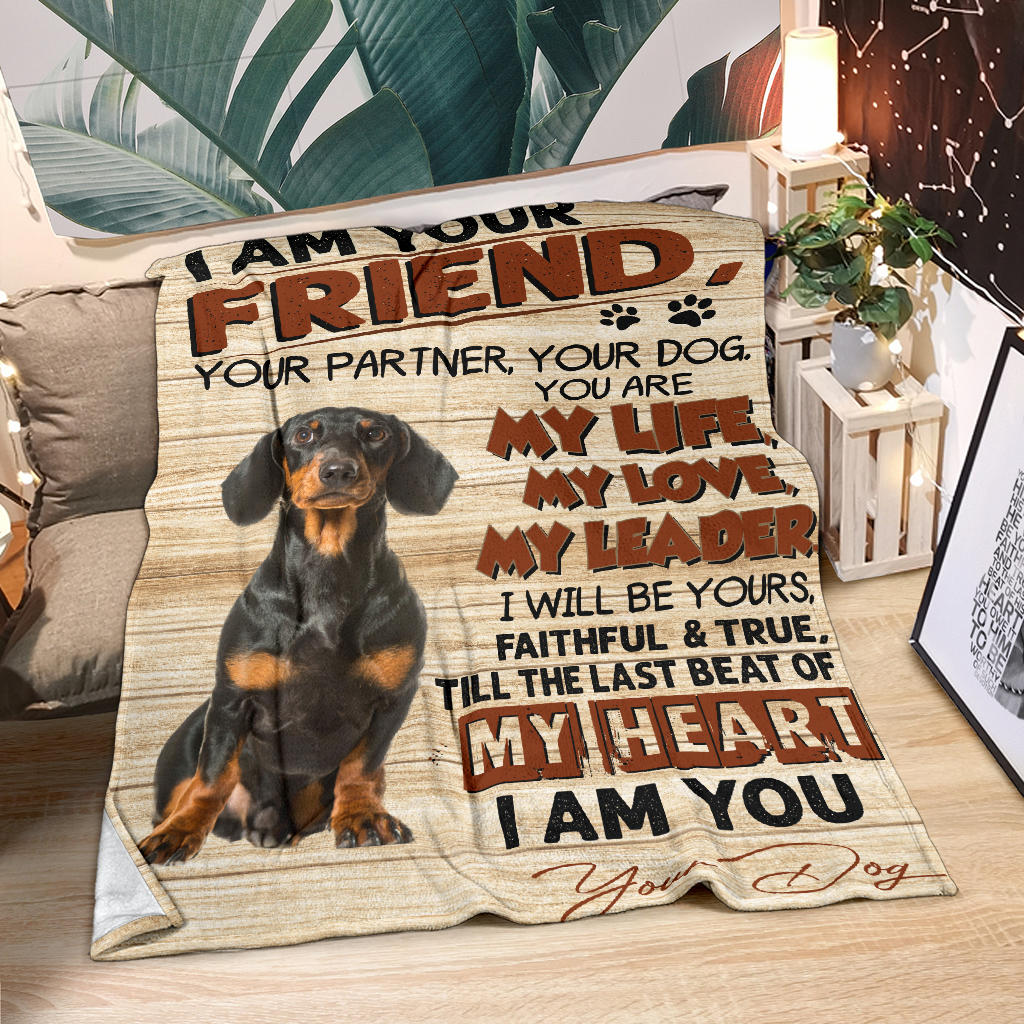 Dachshund 3-My Love Blanket