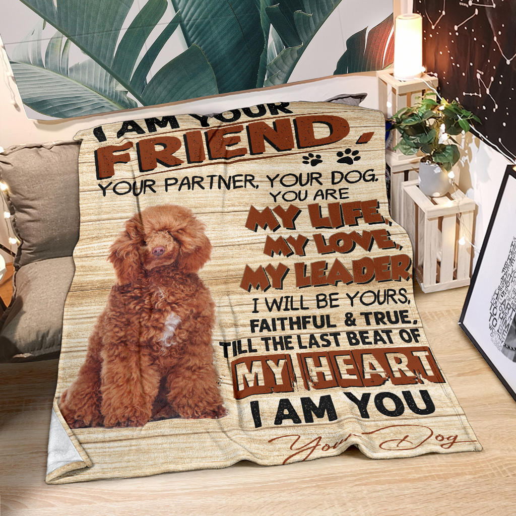 Poodle 3-My Love Blanket