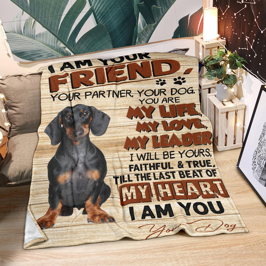 Dachshund 2-My Love Blanket