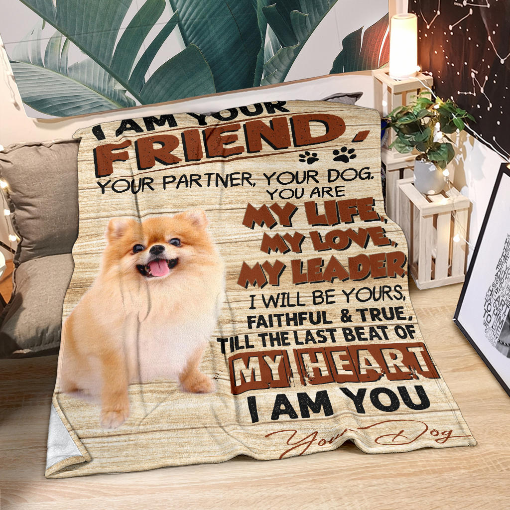 Pomeranian-My Love Blanket