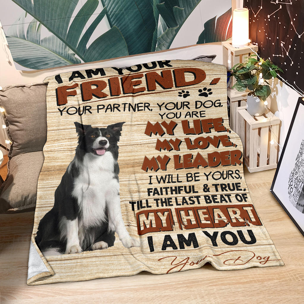 Border Collie (2)-My Love Blanket