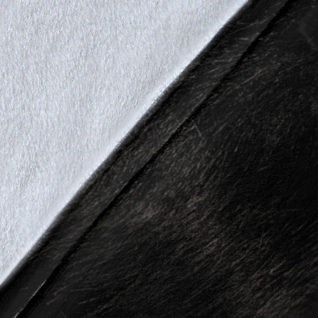 Border Collie 1 Face Hair Blanket