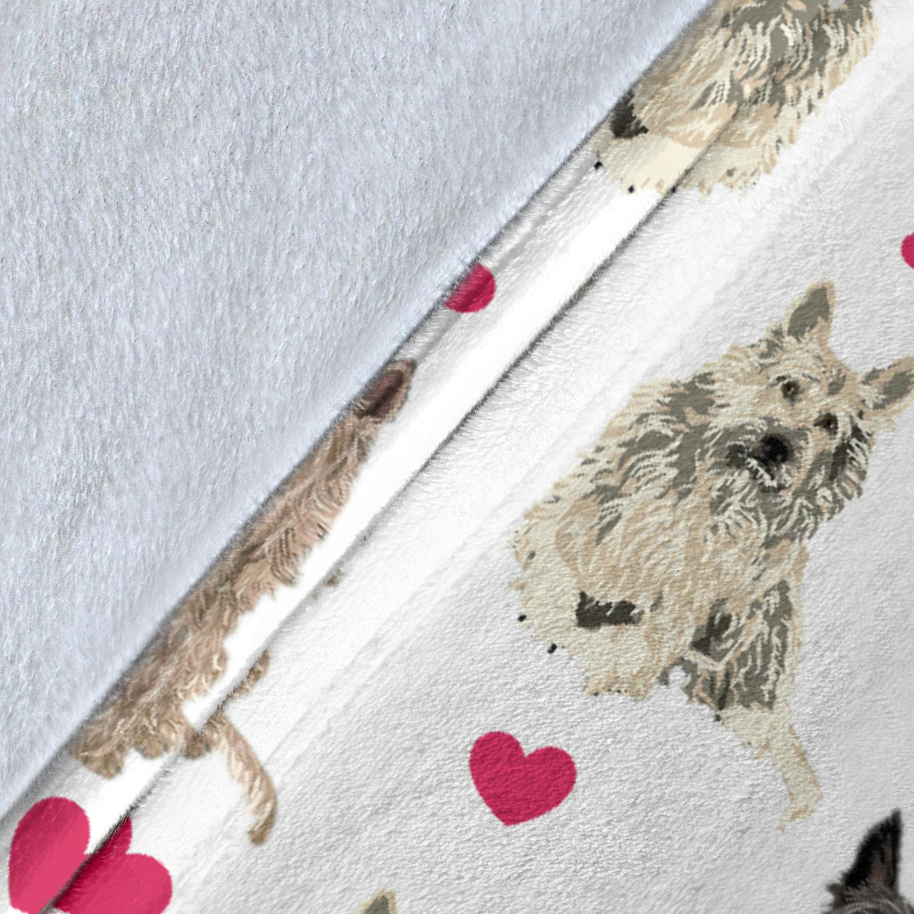 Berger Picard Paw Blanket