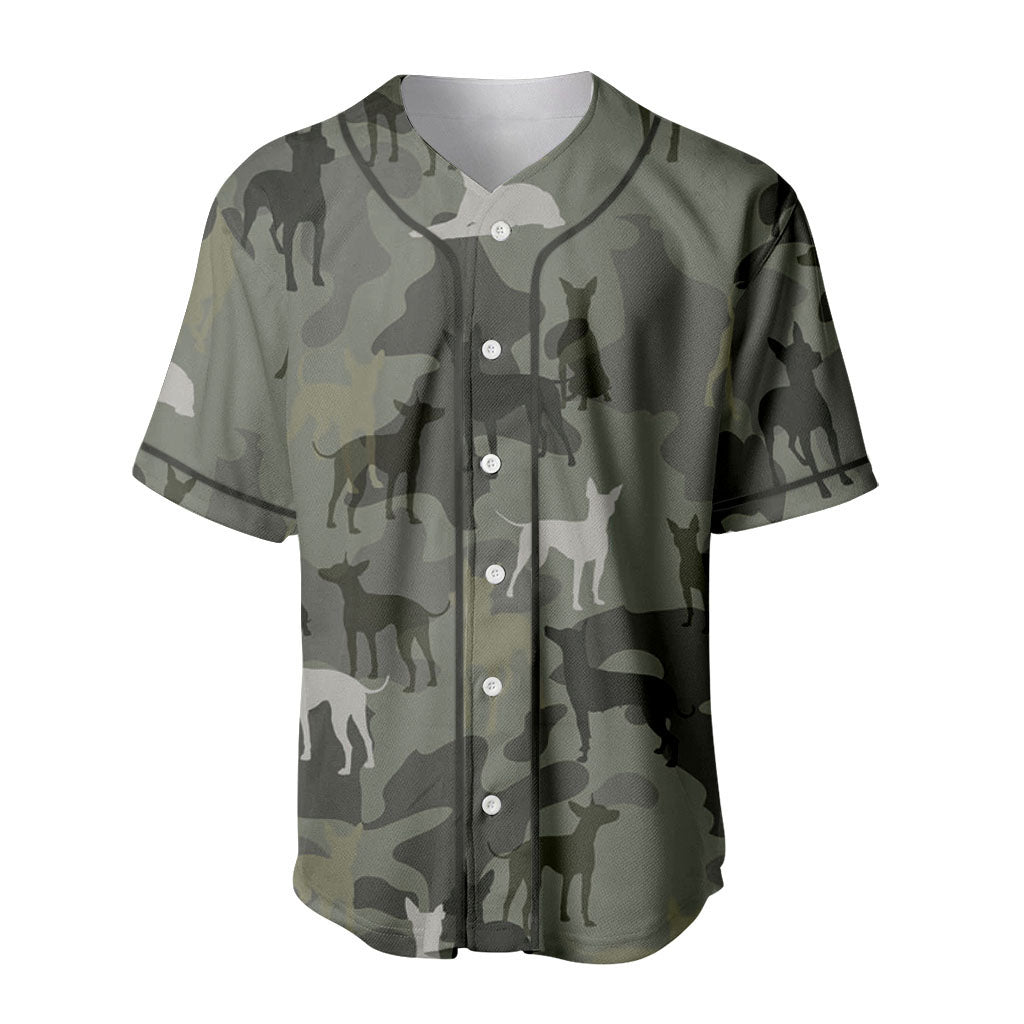 American Hairless Terrier