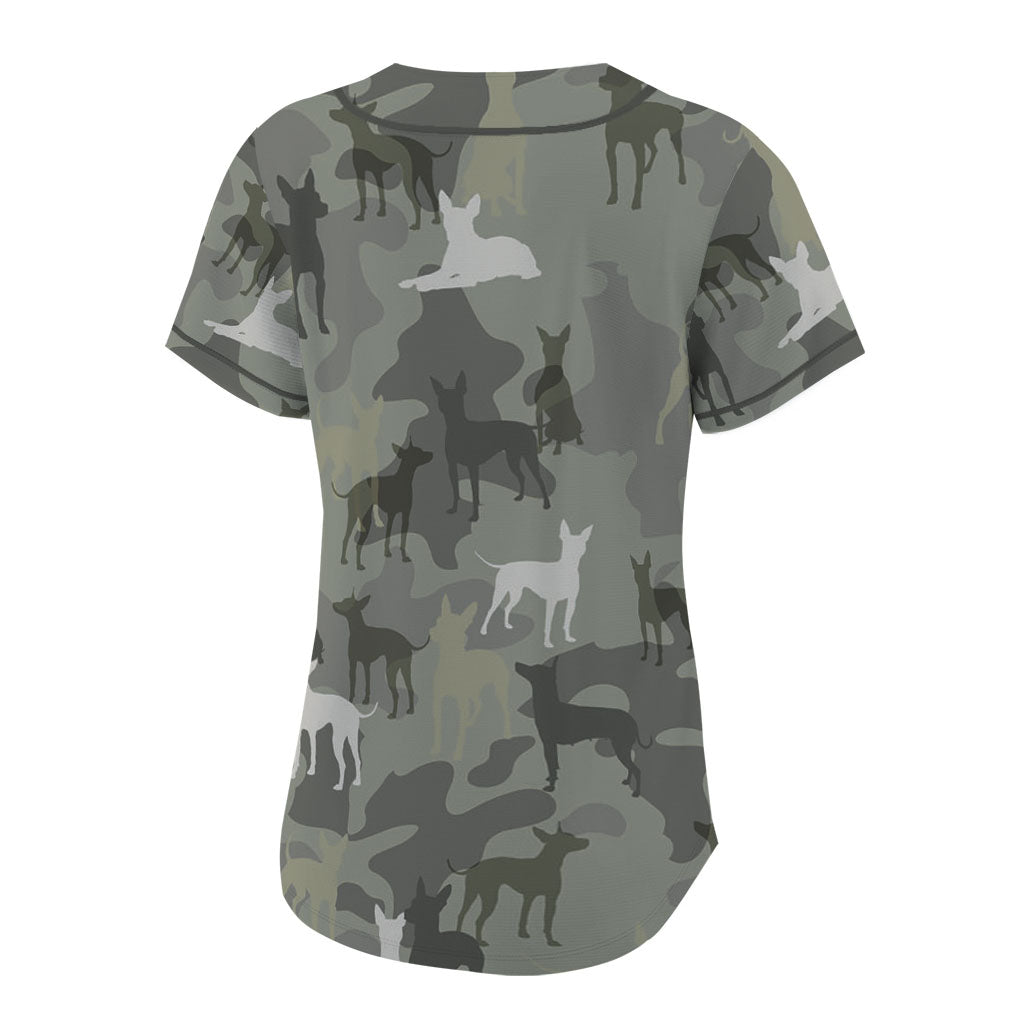 American Hairless Terrier