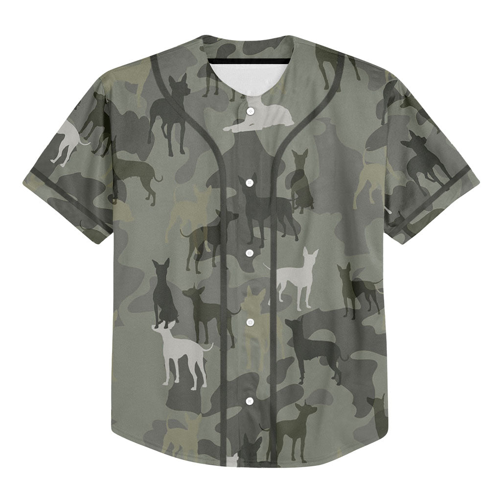 American Hairless Terrier