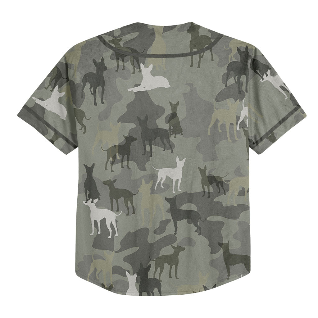 American Hairless Terrier