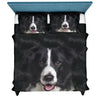 Border Collie  Face Hair Sweater Sweater