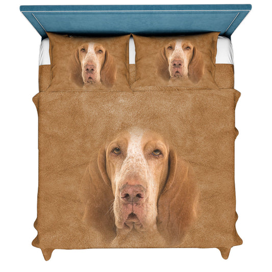 Bracco Italiano Face Hair Sweater Sweater