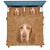 Bracco Italiano Bedding Set - Soft And Cozy Dog Lovers Gift