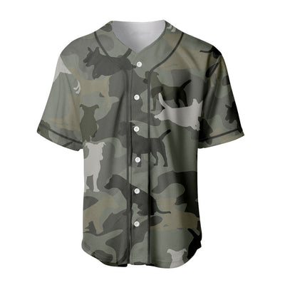 Jack Russell Terrier