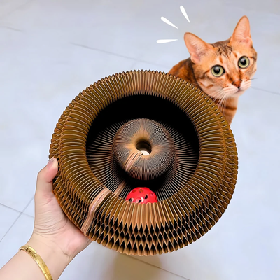 Kitty Kurlz | Interactive Cat Toy With Scratcher, Ball Track & Lounger