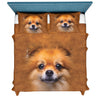 Pomeranian Face Hair Sweater Sweater