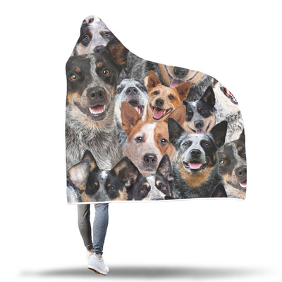 Australian Cattle Dog Hooded Blanket
