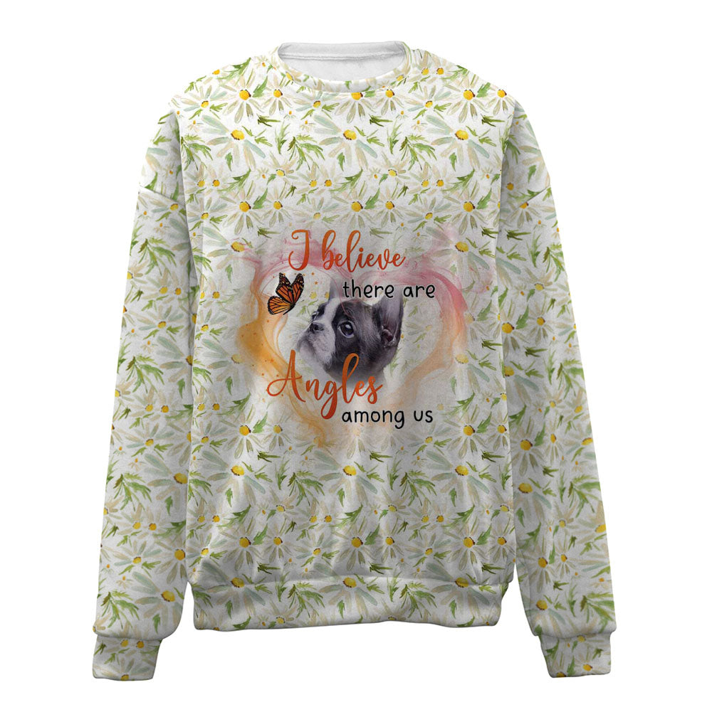 Boston Terrier-Angles-Premium Sweater