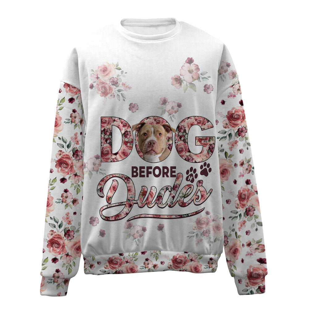 Pitbull-Before Dudes-Premium Sweater