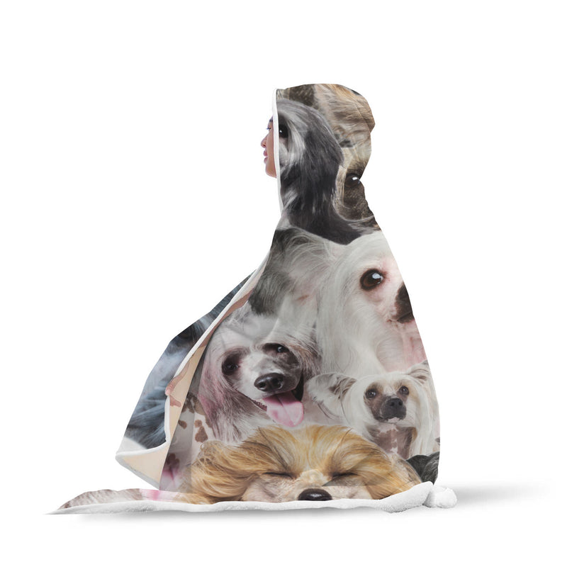 Chinese Crested Dog Hooded Blanket