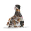 Papillon Hooded Blanket