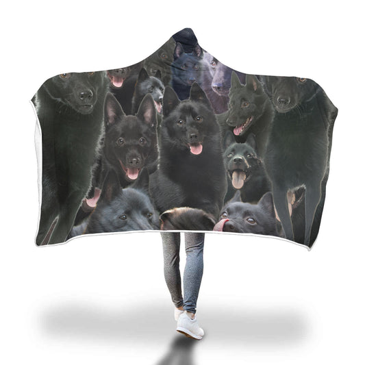 Schipperke Hooded Blanket