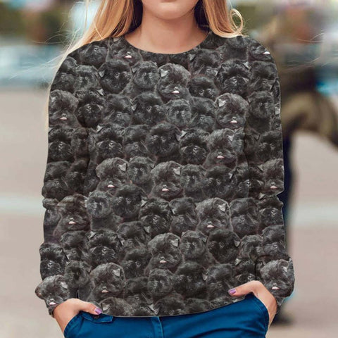 Affenpinscher - Full Face - Premium Sweater