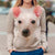 American Hairless Terrier - Face Hair - Premium Sweater