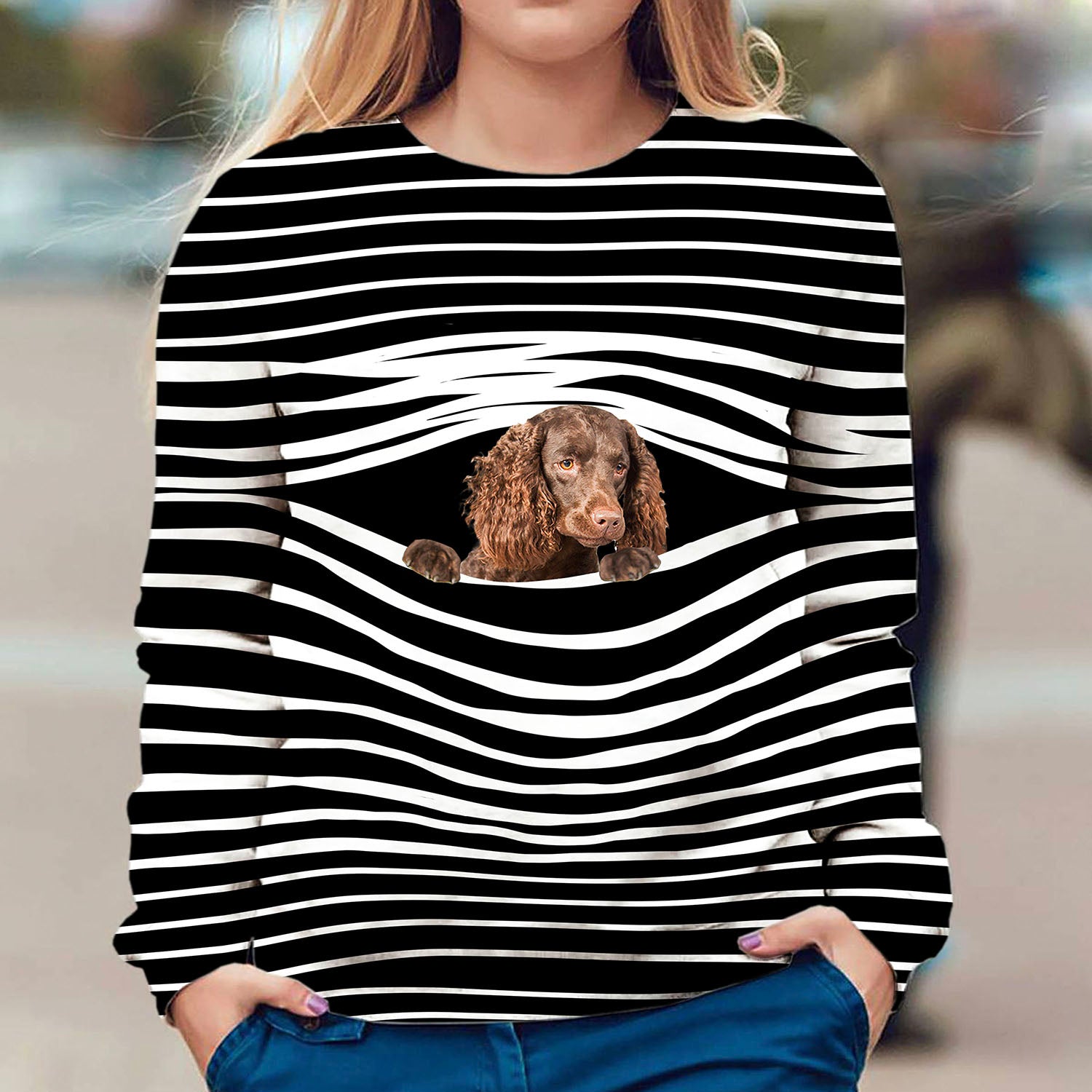 American Water Spaniel - Stripe - Premium Sweater
