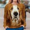 Basset Hound - Face Hair - Premium Sweater