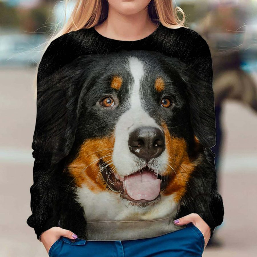 Bernese Mountain Dog - Face Hair - Premium Sweater