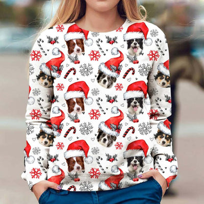 Border Collie - Xmas Decor - Premium Sweater