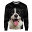 Border Collie - Face Hair - Premium Sweater