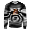 Border Collie - Stripe - Premium Sweater