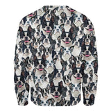 Boston Terrier - Full Face - Premium Sweater