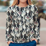 Boston Terrier - Full Face - Premium Sweater