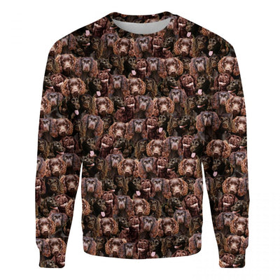 Boykin Spaniel - Full Face - Premium Sweater