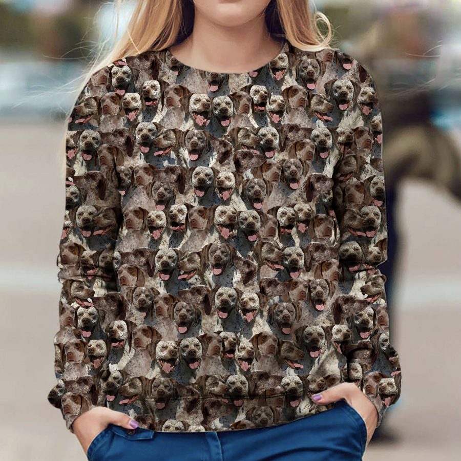 Braque du Bourbonnais - Full Face - Premium Sweater