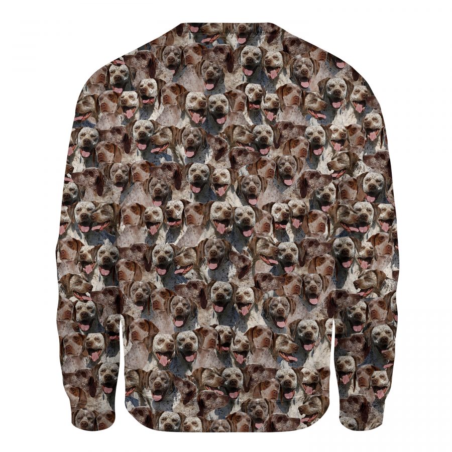 Braque du Bourbonnais - Full Face - Premium Sweater