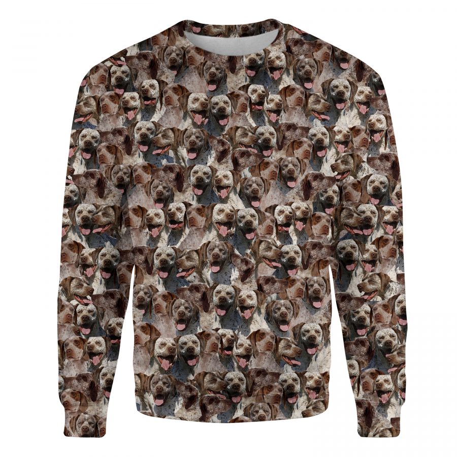 Braque du Bourbonnais - Full Face - Premium Sweater