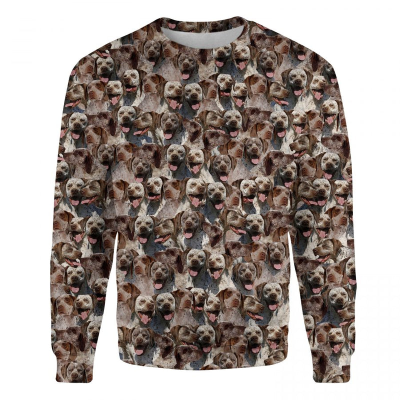 Braque du Bourbonnais - Full Face - Premium Sweater