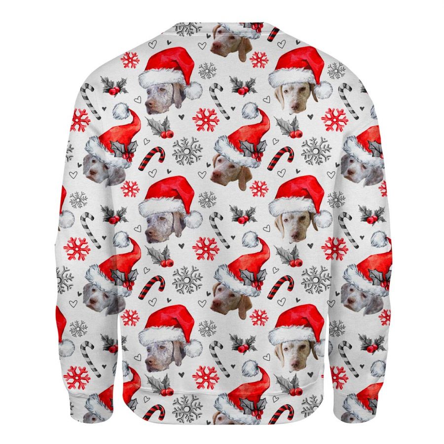 Braque du Bourbonnais - Xmas Decor - Premium Sweater