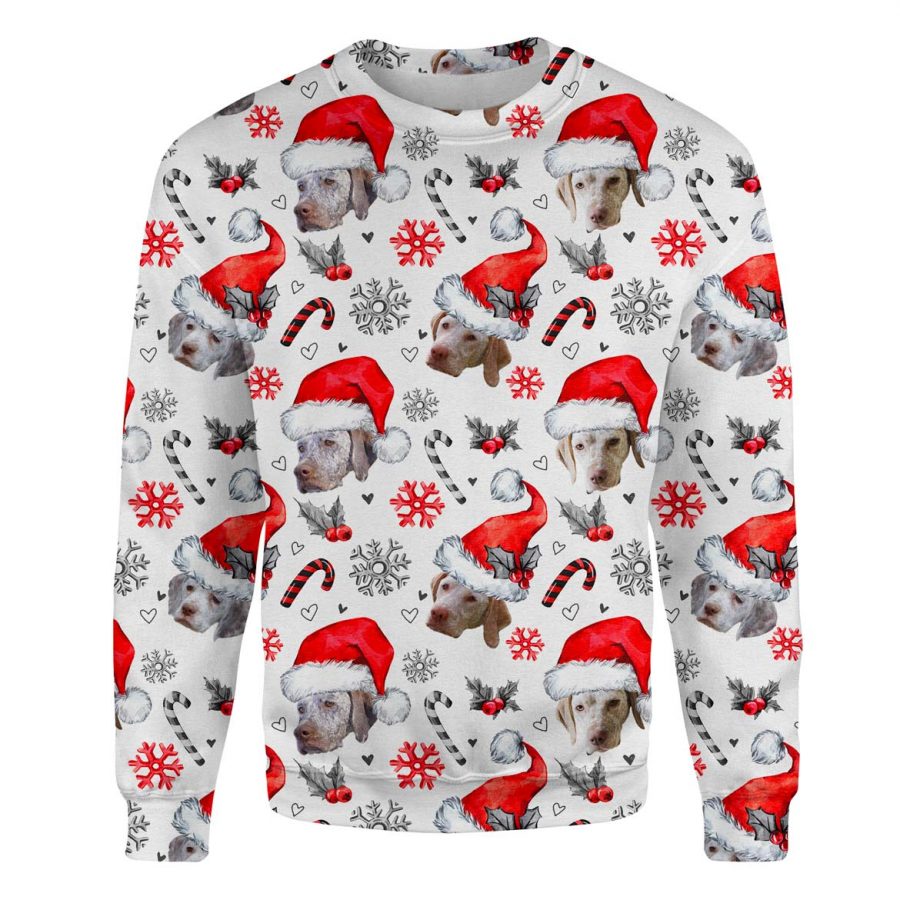 Braque du Bourbonnais - Xmas Decor - Premium Sweater