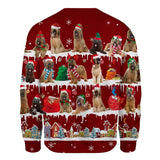 Briard - Snow Christmas - Premium Sweater