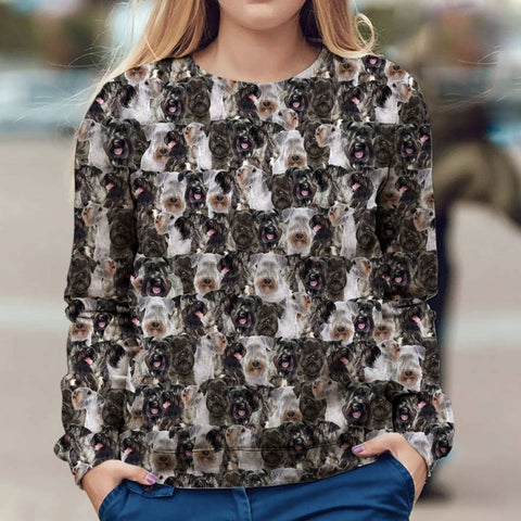 Cesky Terrier - Full Face - Premium Sweater