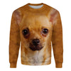 Chihuahua - Face Hair - Premium Sweater