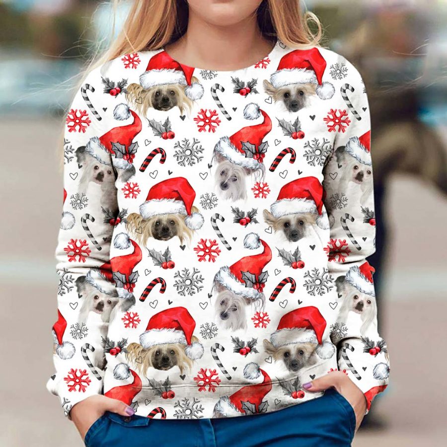 Chinese Crested Dog - Xmas Decor - Premium Sweater