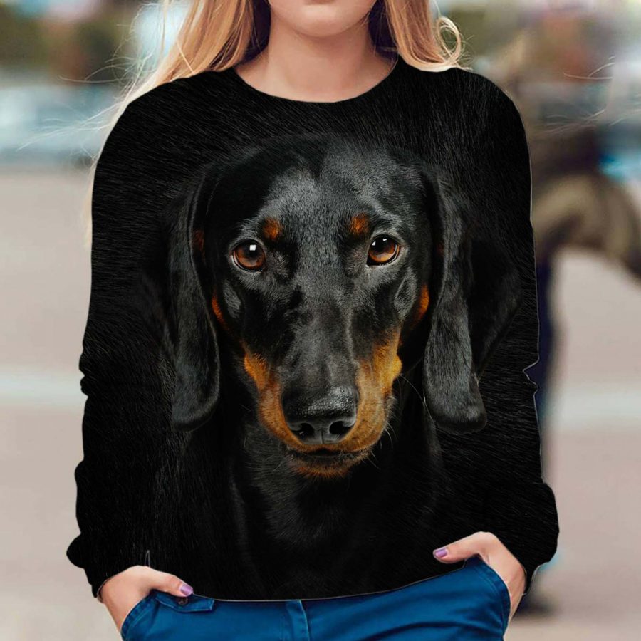 Dachshund - Face Hair - Premium Sweater